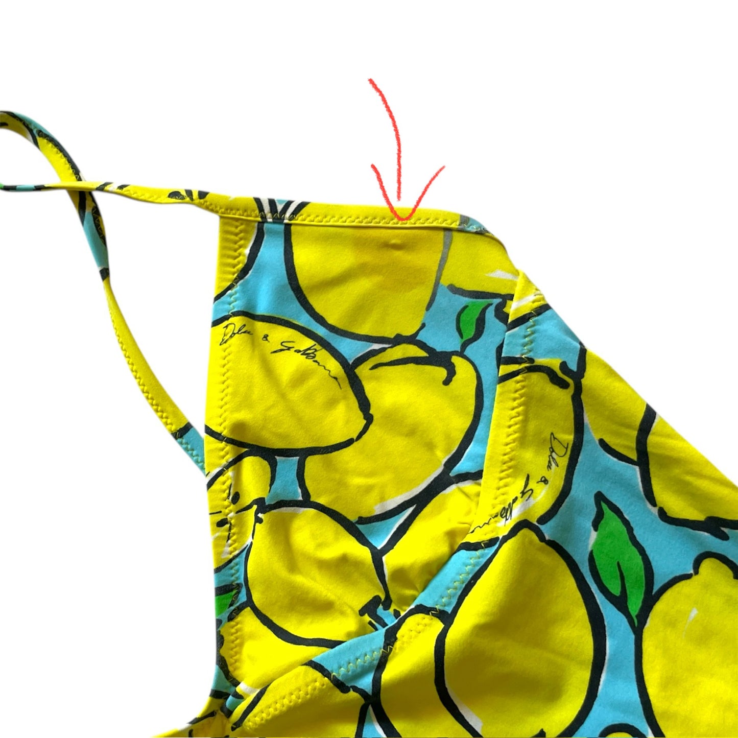 Dolce and Gabbana Lemon Print Tankini (S)